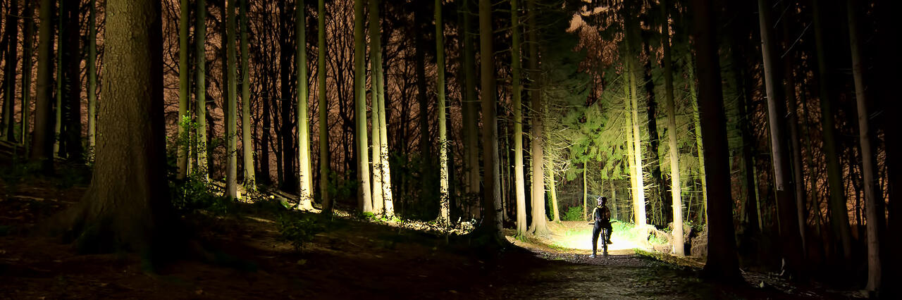 lupine bike lights